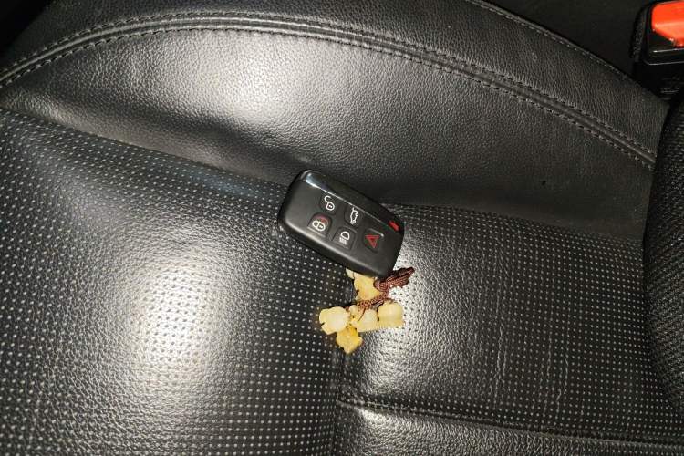 Used Land Rover Discovery Sport 2015 2.0T SE Vehicle Key