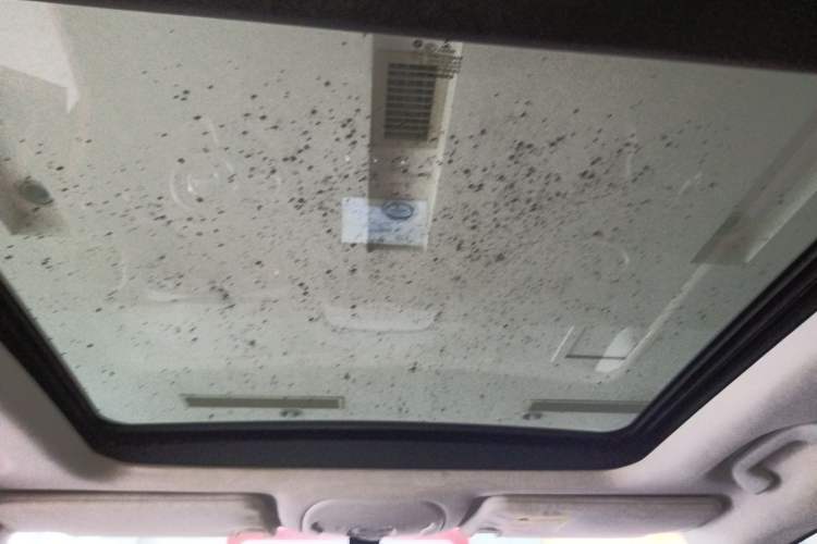 Used Jeep Renegade 2017 180T Automatic High-Energy Version Headliner