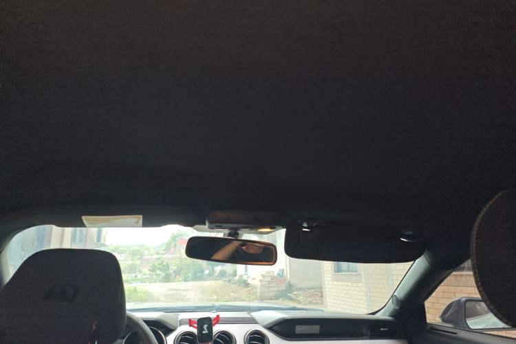 Used Ford Mustang 2017 2.3T Performance Edition Headliner