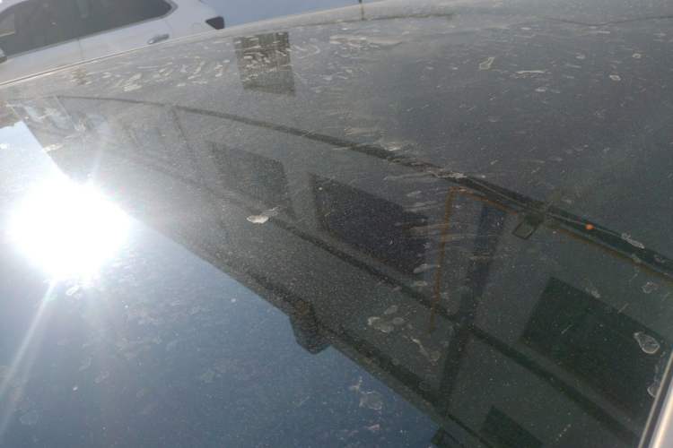 Used CHANGAN NEVO Q07 2025 Model 215 Laser Prestige Roof