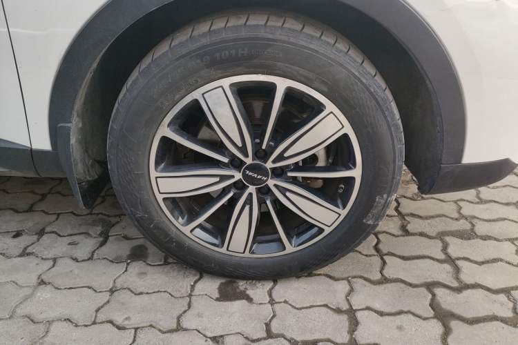 Used Haval H6 2023 National Trend Edition 1.5T Automatic Champion Version