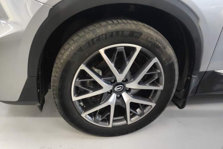 Used GAC Trumpchi GS8 2022 Linghang Series 2.0 TGDI Two-Wheel-Drive Luxury Smart Connectivity Version (7 Seats)
