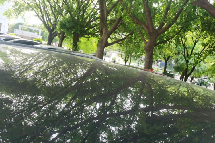 Used Wey VV5 2019 Upgraded Model 2.0T Two-Wheel Drive Ultra-Luxury Version China V Standard Roof