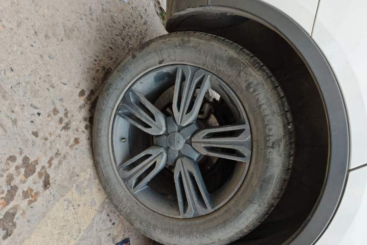 Used Leopaard CS10 2017 2.0T Manual Fashion Edition