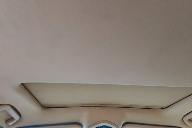Used Porsche Panamera 2010 Panamera 4 3.6L Headliner