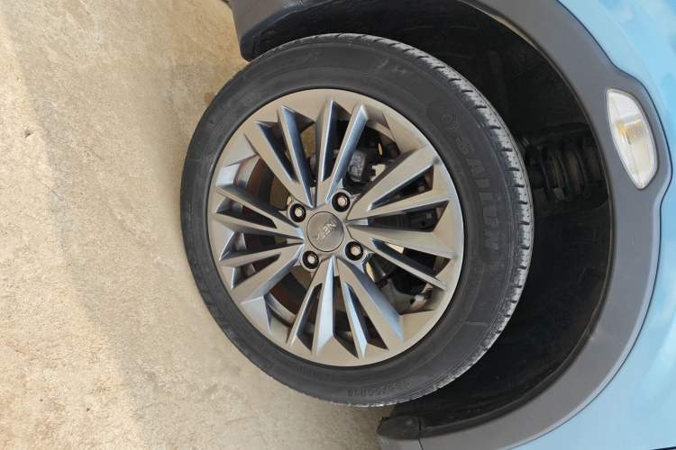 Used NETA V 2022 Pro Long-Range Smart Edition
