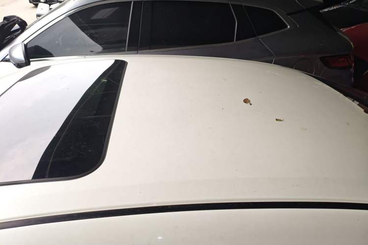 Used Nissan Sylphy 2021 1.6L XL CVT Enjoyment Edition Roof