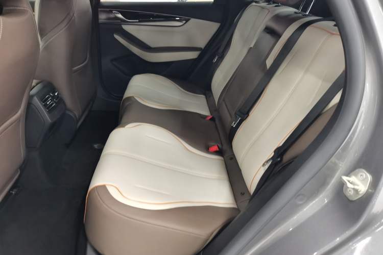 Used BYD Qin PLUS 2023 Champion Edition EV 420KM Superior Model Left Rear Seat