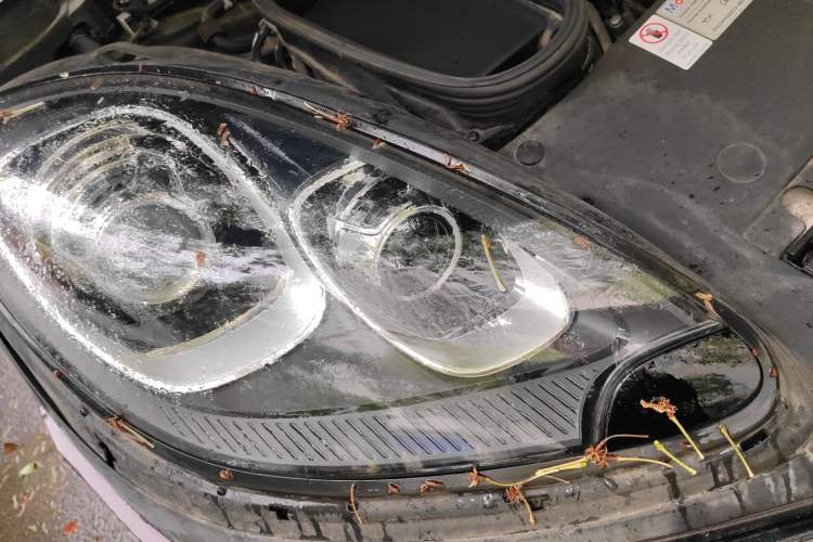 Used Porsche Macan 2017 Macan 2.0T Right Front Headlight