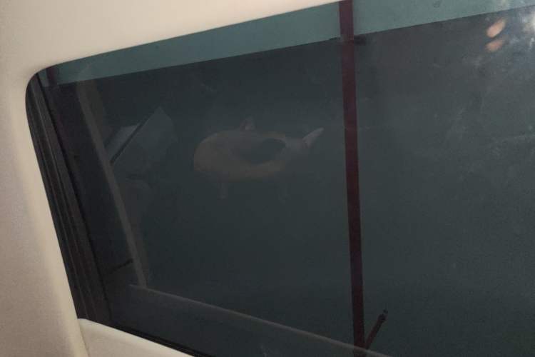 Used Volkswagen Lavida 2018 1.5L Automatic Comfort Edition China V Standard