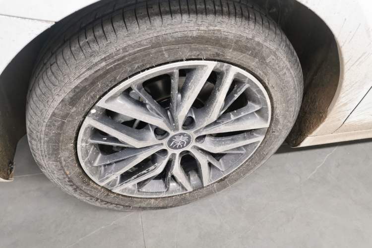 Used BYD Qin PLUS 2023 Champion Edition EV 510KM Beyond Model
