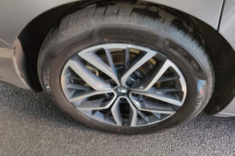 Used ORA Lightning Cat 2022 555 km Luxury Edition
