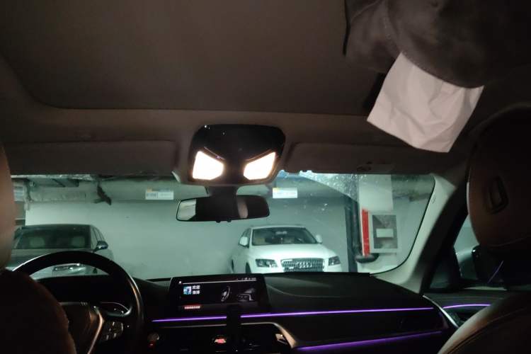 Used BMW 5 Series 2020 530Li Leading Edition Luxury Package Headliner