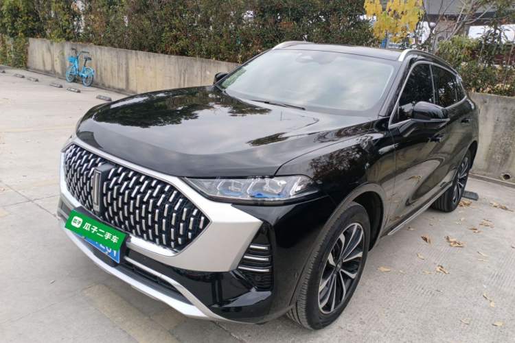 Used Wey Mocha 2021 2.0T Four-Wheel Drive Premium Edition