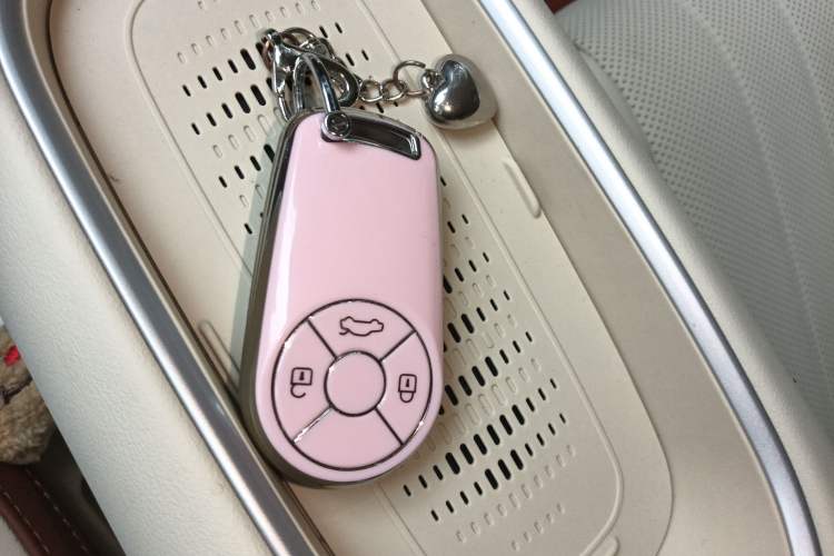 Used ORA Good Cat 2025 Model, 430 km Luxury Version