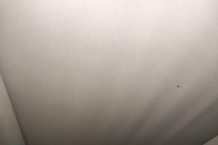 Used Ford Kuga 2018 Facelifted EcoBoost 180 Two-Wheel Drive Luxury Wing Edition Headliner