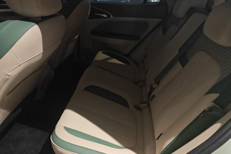 Used ORA Good Cat 2024 501 km Luxury Version Left Rear Seat