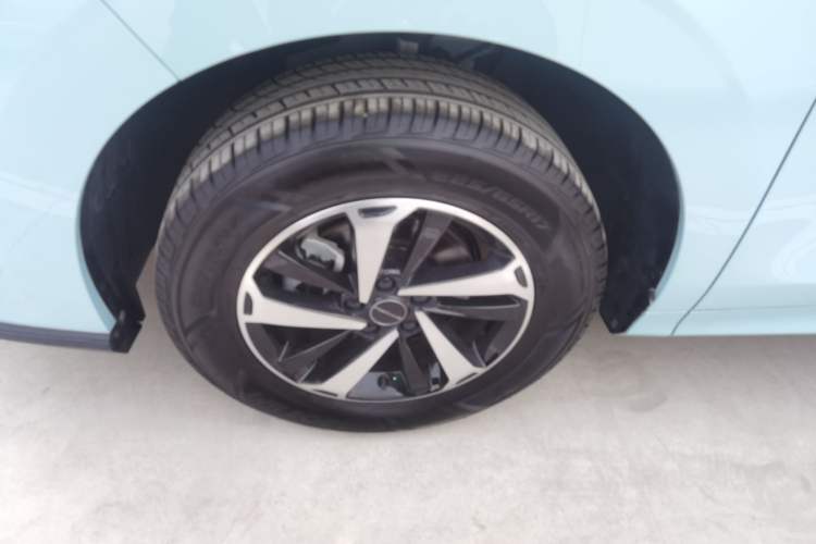 Used FORTHING Friday 2024 410+