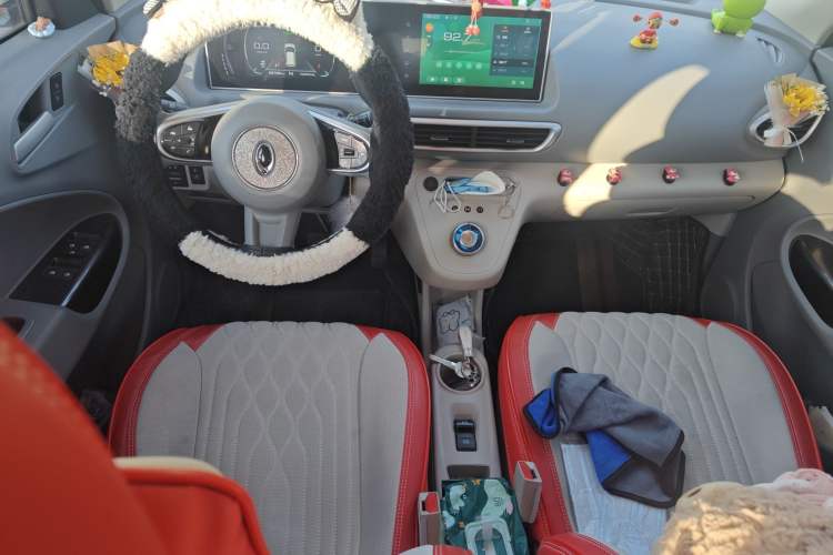 Used ORA White Cat 2020 305 km Luxury Version
