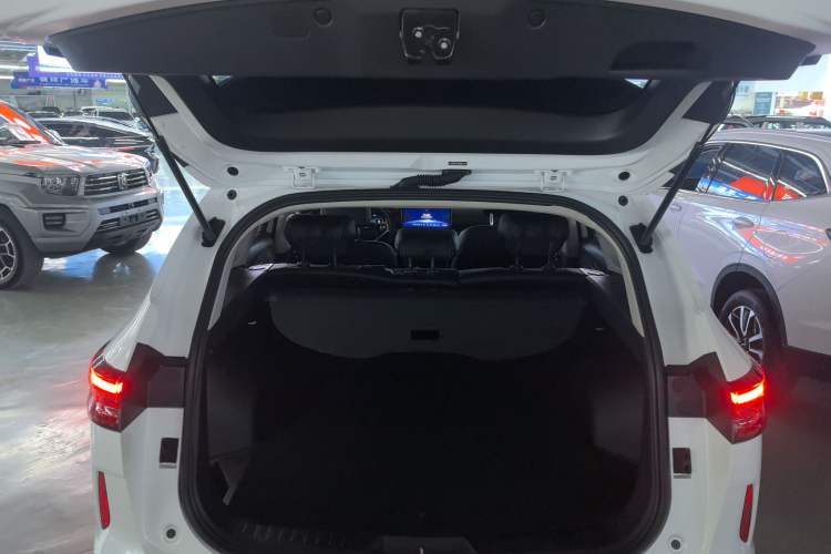 Used Haval H6 2021 3rd Generation 2.0T Automatic Two-Wheel Drive Max
