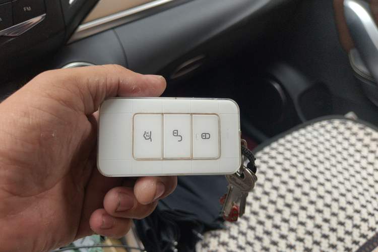 Used BYD Song New Energy 2017 Song EV300 Prestige Model
