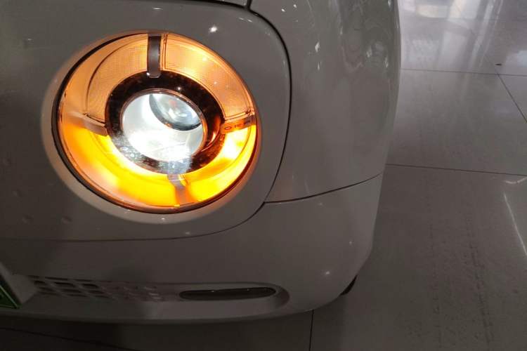 Used ORA Black Cat 2021 351 km Standard Version
