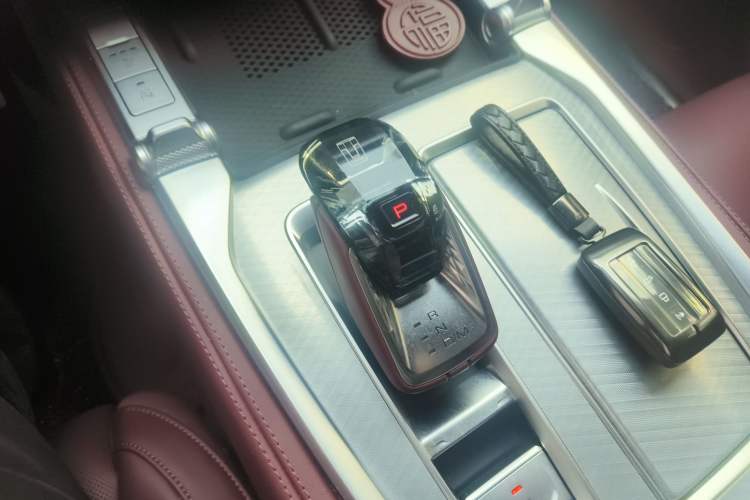 Used Tank 700 New Energy 2024 Hi4-T Extreme Edition Gear Lever