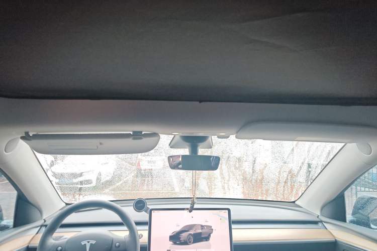 Used Tesla Model Y 2022 Revised Version Long-Range All-Wheel Drive