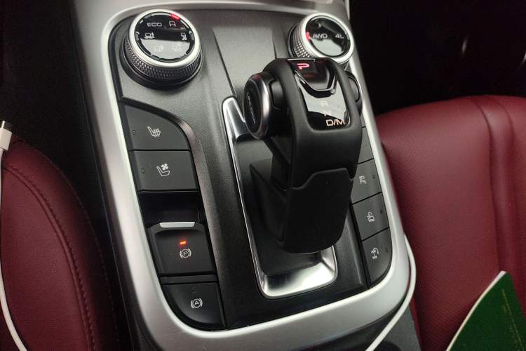 Used Tank 300 2024 2.0T Crosser