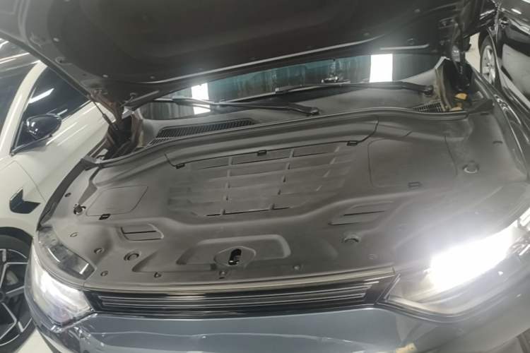 Used Leapmotor C11 2023 Pure Electric 500 Comfort Edition