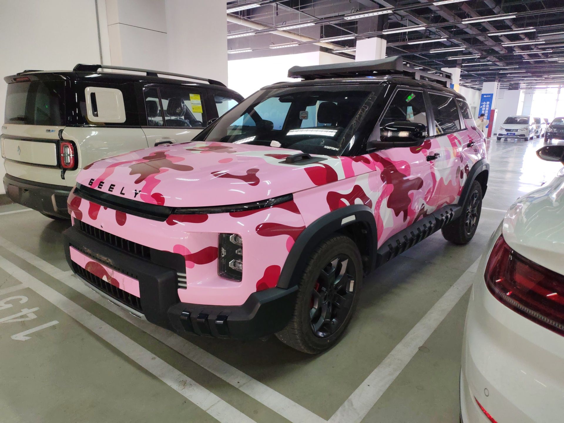 Parte inferior delantera