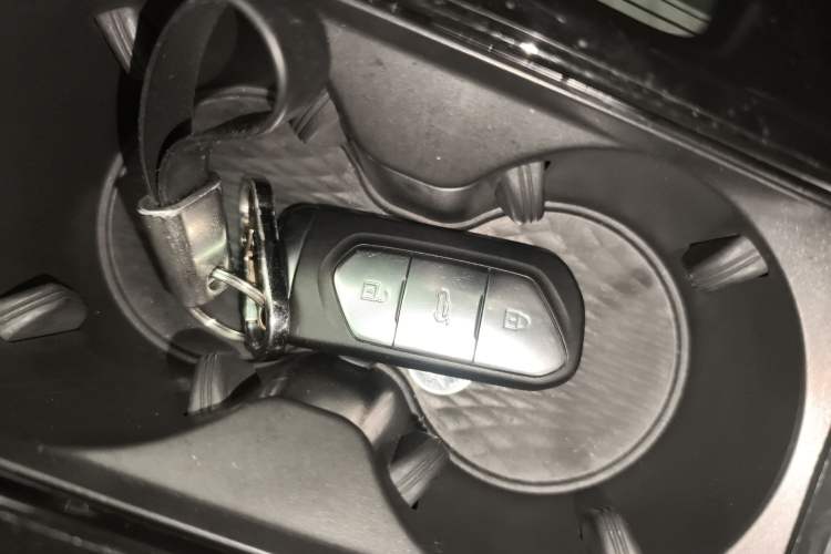 Used VOYAH FREE 2021 Four-Wheel Drive Standard Range-Extended Exclusive Luxury Package
