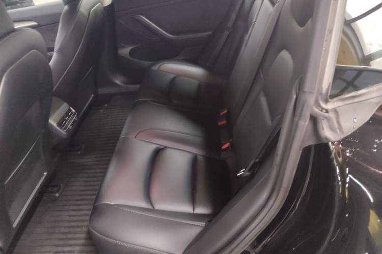 Used Tesla Model 3 2022 Rear-Wheel-Drive Version
