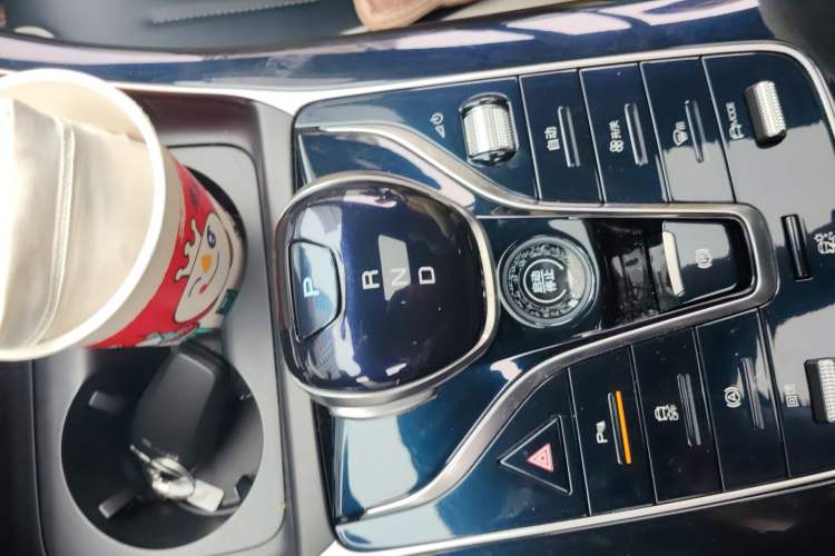 Used BYD Qin PLUS 2021 EV 500KM Luxury Model Gear Lever