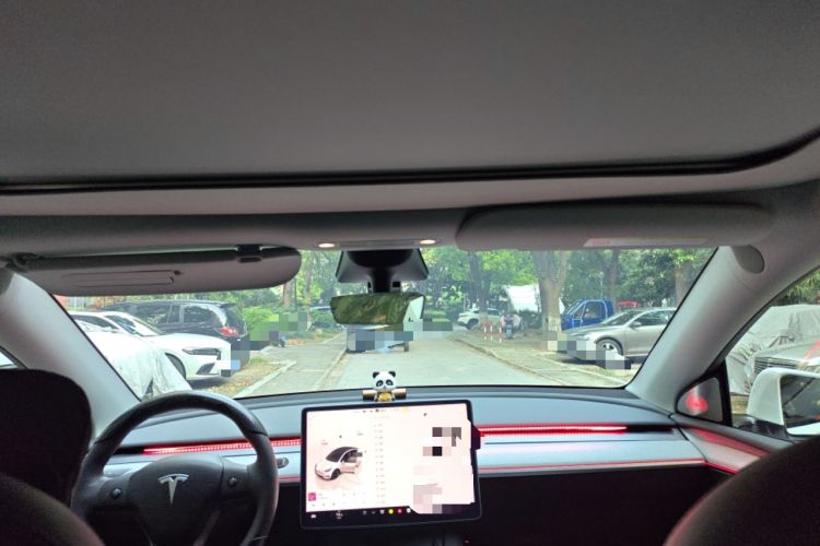 Used Tesla Model Y 2024 Rear-Wheel-Drive Version Headliner