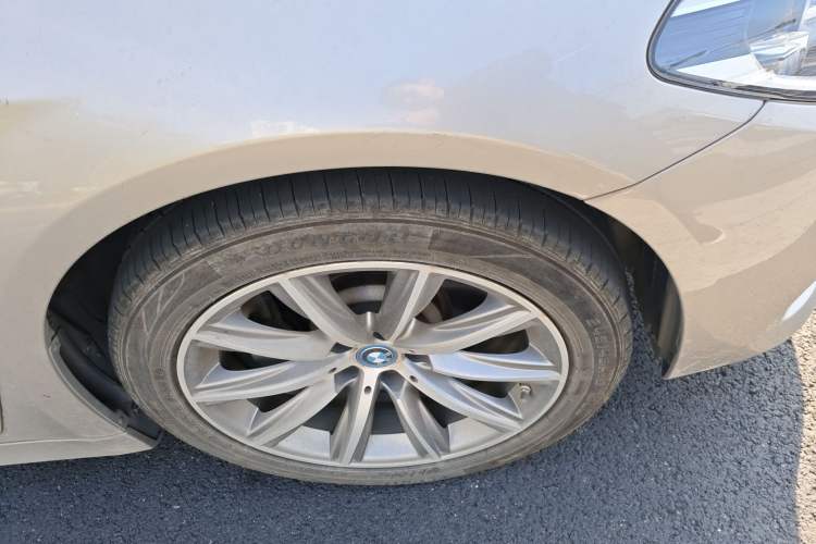 Used BMW 5 Series New Energy 2019 530Le Luxury Package
