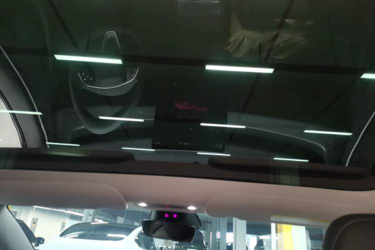 Used Tesla Model 3 2023 Rear-Wheel-Drive Version Headliner