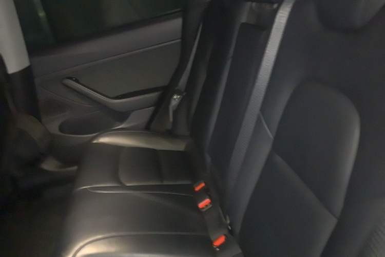 Used Tesla Model 3 2019 Standard Range Rear-Wheel Drive Upgraded Version (60 kWh)
