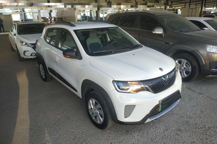 Used Venucia e30 2020 Elite Edition
