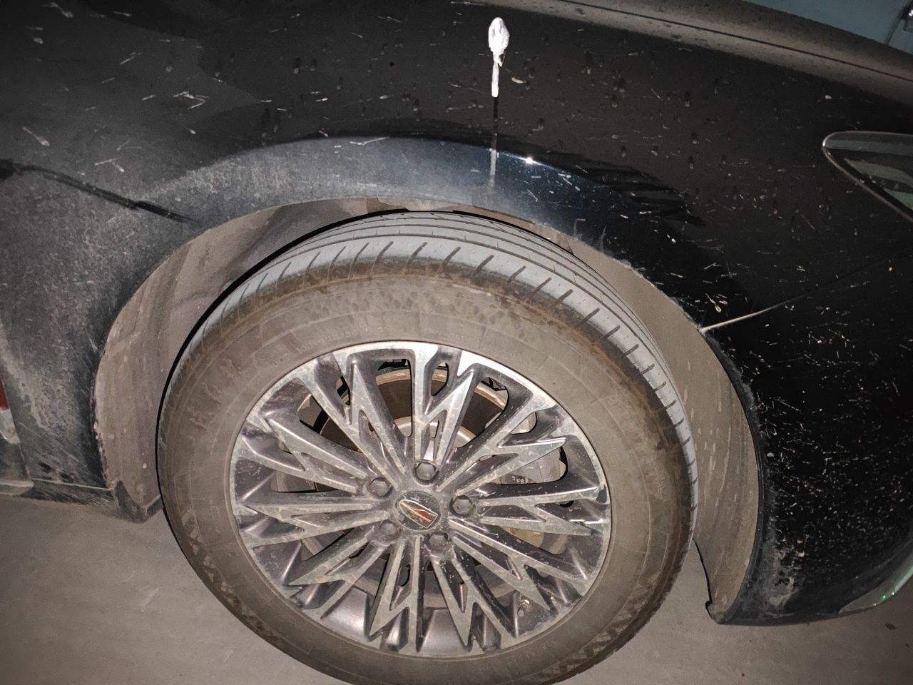 Hongqi H5 2023 1.5T DCT Smart Connect Flagship Edition - Chinese Trim Yue — снимка 8