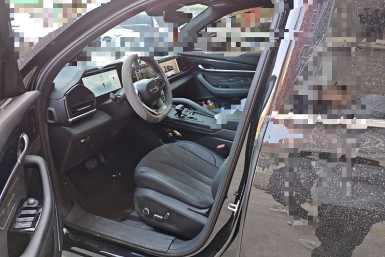 Used Geely Auto Monjaro L 2024 2.0TD High-Power Automatic Two-Wheel Drive Skyline Edition Left Front Seat