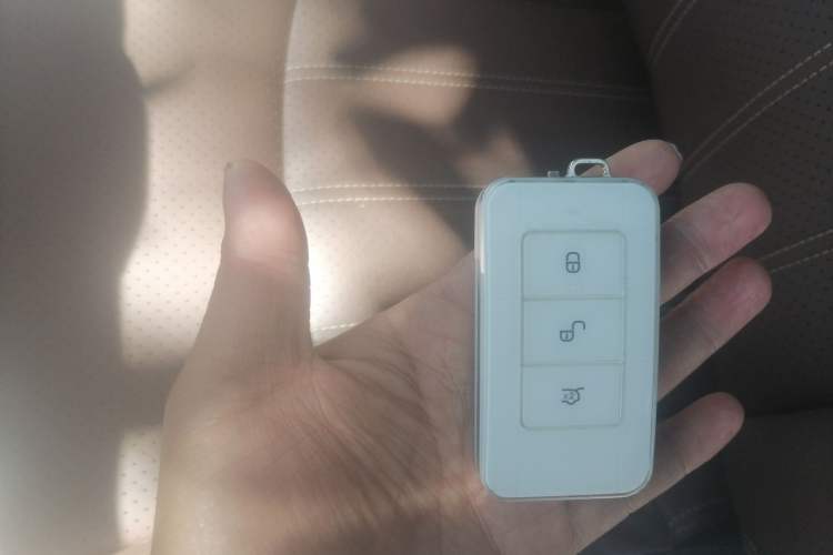 Used BYD Tang New Energy 2017 2.0T All-Wheel Drive Hyatt Model