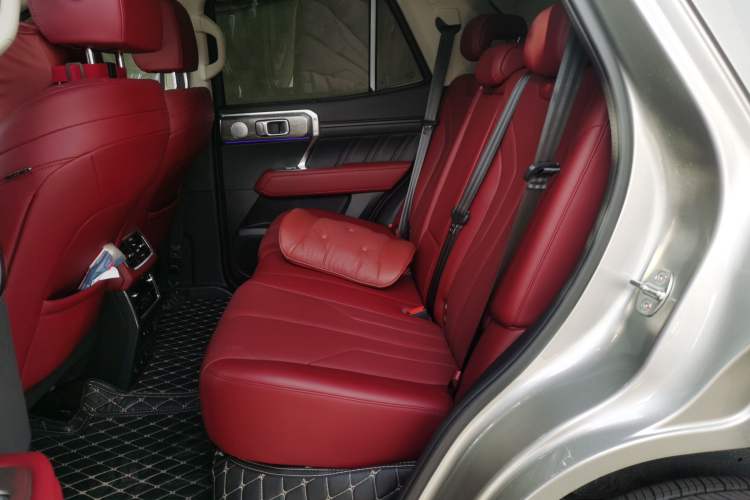 Used Tank 400 New Energy 2024 Hi4-T City Edition Left Rear Seat