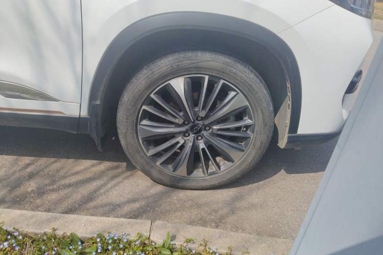 Used Chery Tiggo 8 PRO 2024 Champion Edition 390T Two-Wheel Drive Peak Version 5 Seats