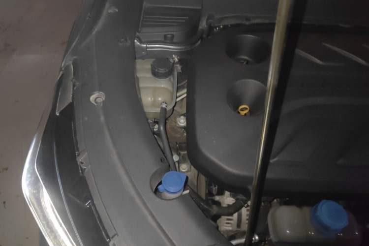 Used CHANGAN OSHAN X5 2021 1.5T DCT Flagship Edition