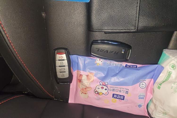 Used Haval M6 2019 1.5T DCT Two-Wheel Drive Elite Version China V Standard