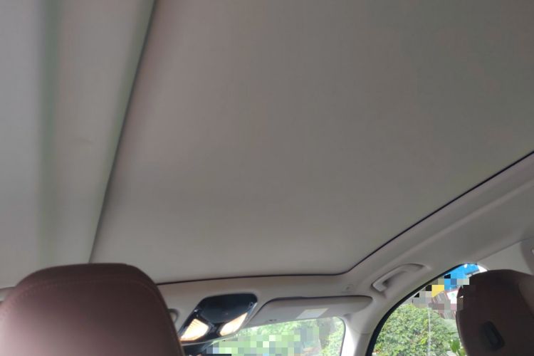 Used BMW X5 2020 xDrive30i M Sport Package Headliner