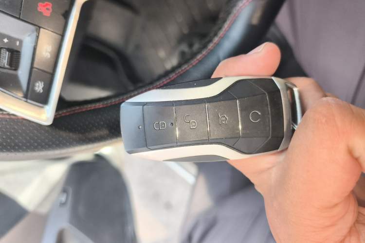 Used BYD Qin Pro New Energy 2018 EV500 Developer Edition Professional Model
