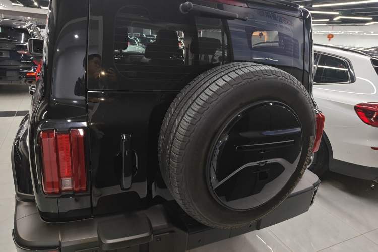 Used Tank 300 2024 2.0T Crosser