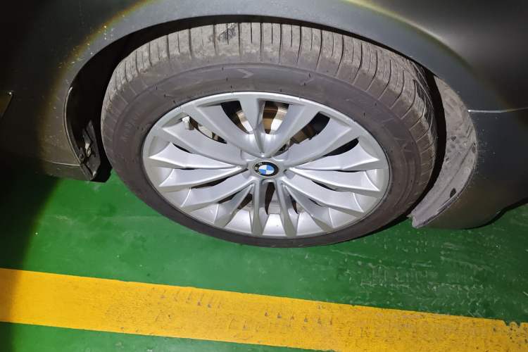 Used BMW 5 Series New Energy 2020 530Le Luxury Package
